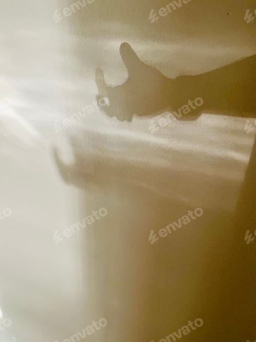 Preview: Shadows of a hand.