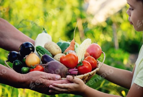 Preview: A woman and a boy are holding a basket with freshly picked organic vegetables