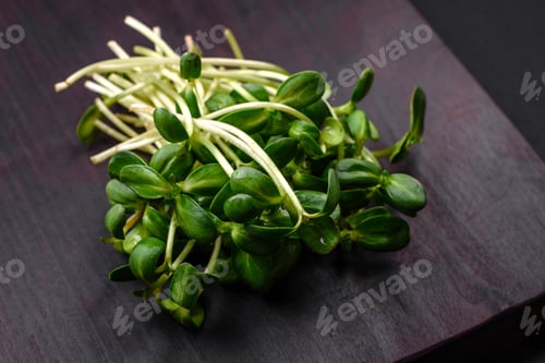 Preview: Fresh sprouts or sunflower microgreens on wooden cutting board