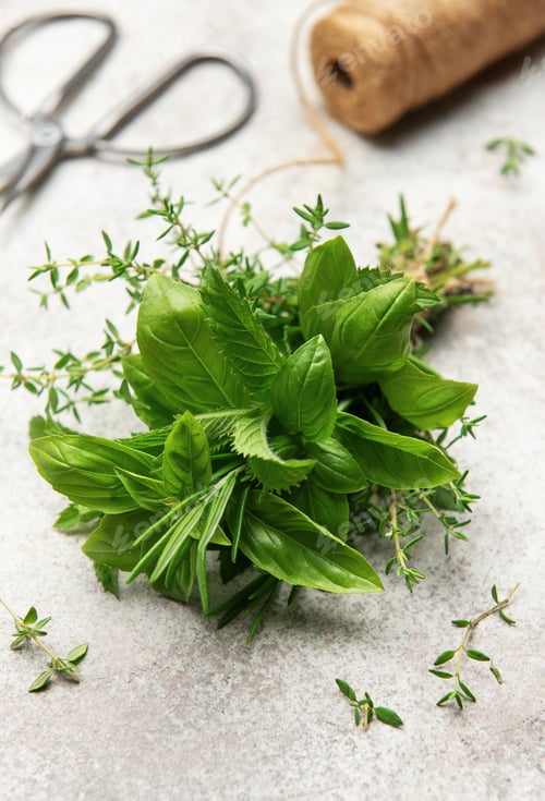 Preview: Freshly picked herbs with scissors and twine on kitchen table