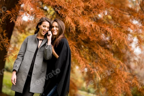 Preview: Pretty young women in the autumn park