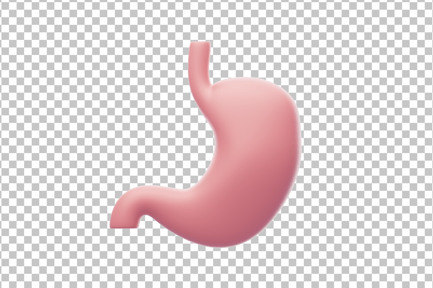 Preview: Stomach and Nutrient Absorption 3D Icon