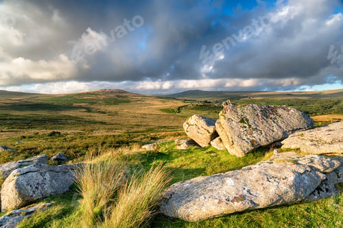 Preview: Heckwood Tor on Dartmoor