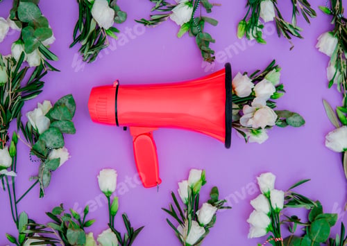 Preview: Red megaphone and white roses on purle background.