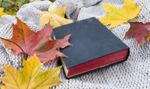 Preview: Autumn Book with Yellow Fallen Autumn Leaves Background. World Book Day. Autumn Background.
