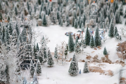 Preview: Christmas trees in the snow side view