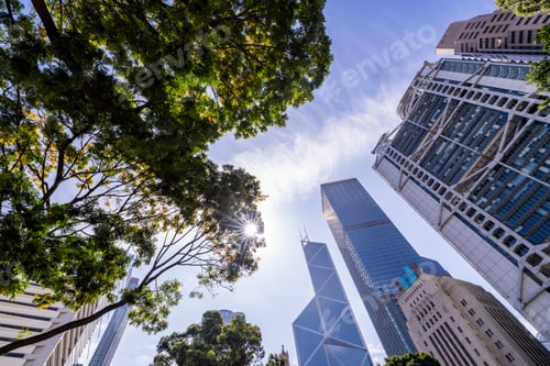 Preview: Modern skyscrapers rising behind green tree branches