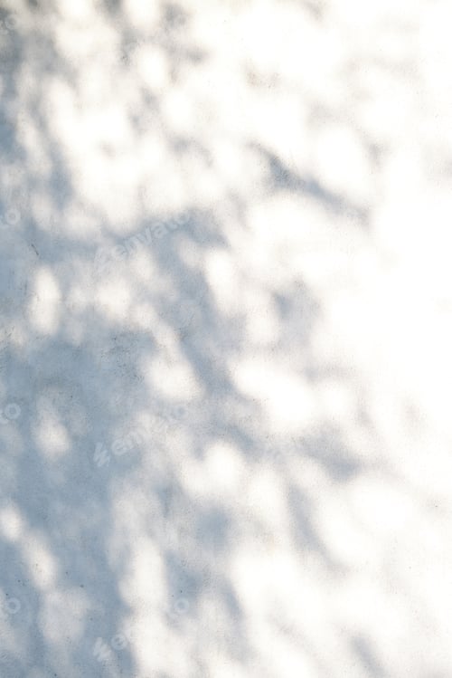 Preview: A wall with shadows from leaves. Abstract background.