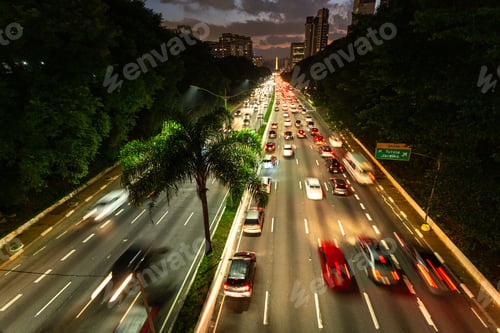 Preview: movement of cars along the tree-lined avenue at sunset