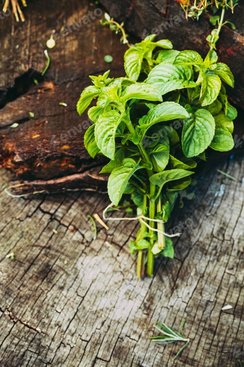 Preview: Fresh Mint Bundle Tied on Wood Surface