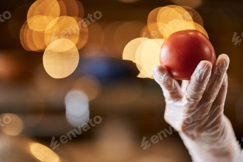 Preview: Fragment photo of ripe tomato in chef hand
