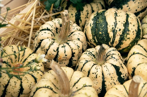 Preview: harvest of white pumpkins in a wooden box in the garden