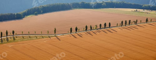 Preview: panoramic view of beautiful orange fields with harvest and road in Bad Schandau, Germany