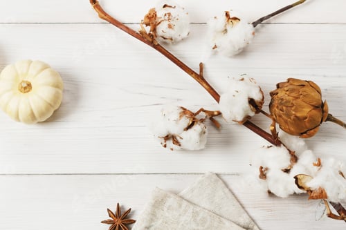 Preview: Autumn dried flowers and pumpkin on white wood, background