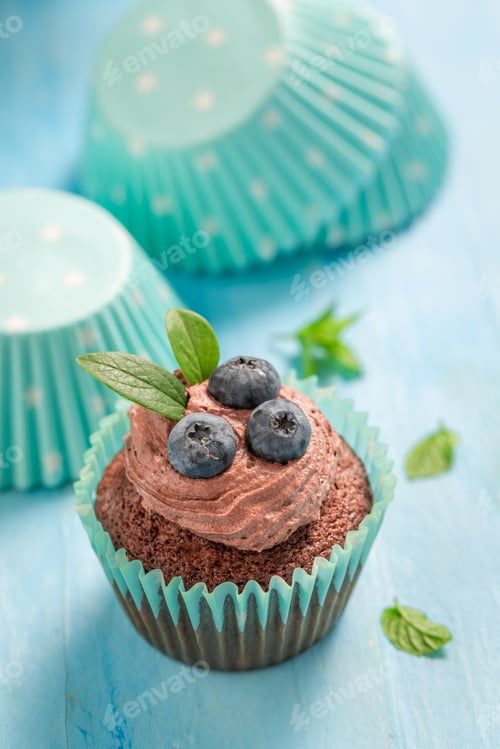 Preview: Delicious Blueberry Cupcake with Chocolate Frosting and Mint