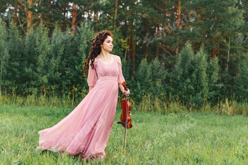 Preview: violin