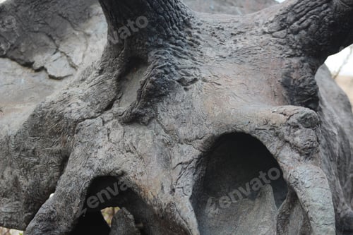 Preview: Texture
