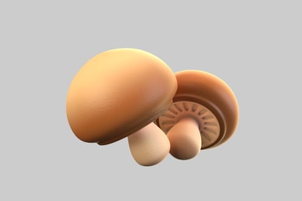 Preview: Cartoon brown cap mushrooms group