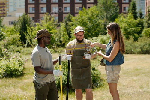 Preview: Multiethnic Young Adults Collaborating during Outdoor Community Gardening Project