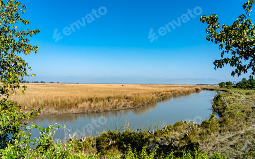 Preview: Landscape view of Koshi riverbank