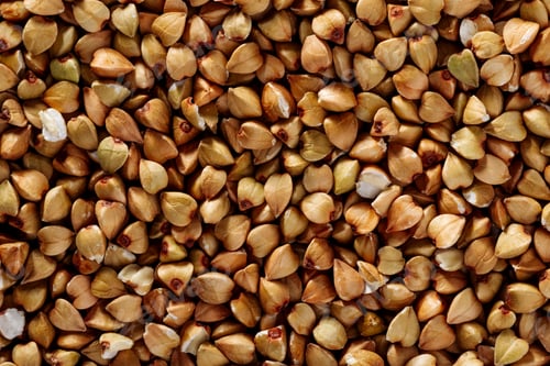 Preview: Green buckwheat kernels close-up texture, food background