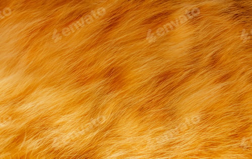 Preview: Cute ginger cat texture background.