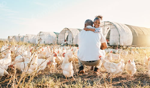 Preview: Chicken, farming and black family hug with birds outdoor for sustainability and agriculture. Dad, c