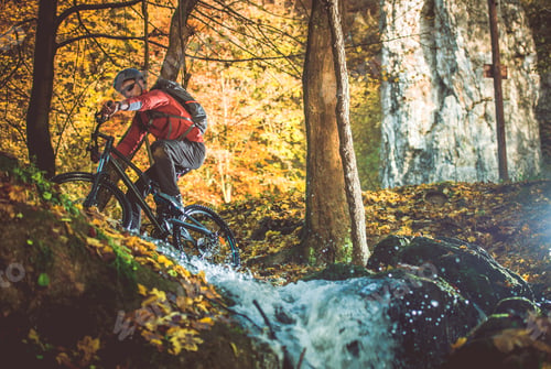 Preview: Scenic Forest Bike Trail