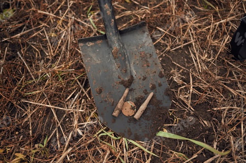 Preview: Coin and bullets are on the shovel, conception of metal detector hunting, archeology