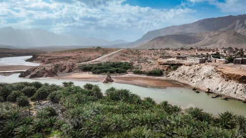 Preview: Exploring the unique landscapes and vegetation of Socotra Island in Yemen during the daytime