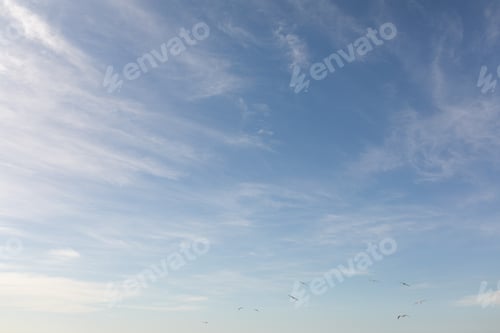 Preview: Low angle view of clouds with birds flying in blue sky on sunny day