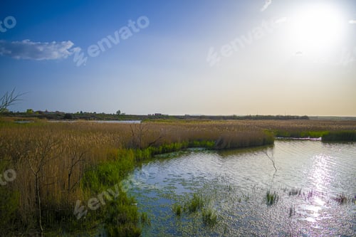 Preview: Beautiful sunrise at Potter Marsh Wildlife Viewing Boardwalk, Anchorage, Alaska, USA