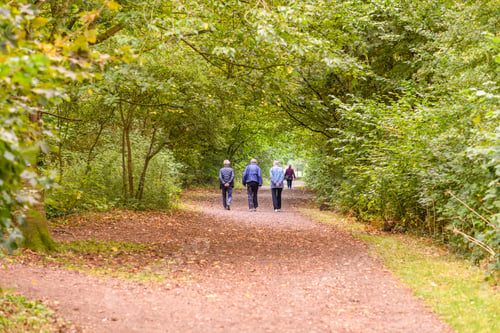 Preview: people walking on leaf lined pathway in a country park in Autumn
