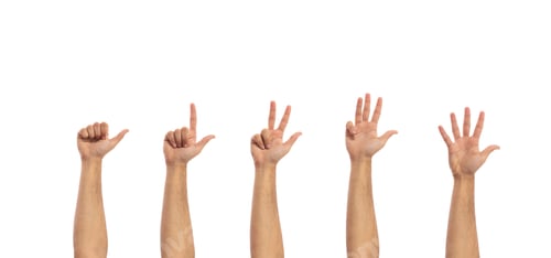 Preview: Counting male hands isolated on white background