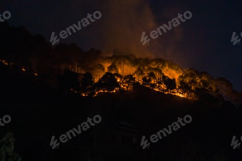Preview: Forest Incinerated by Fires in Hattiban, Kathmandu, Nepal.