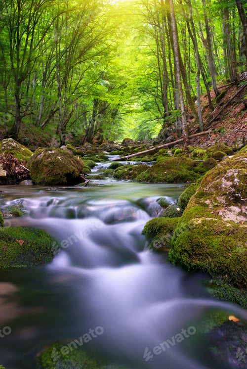 Preview: River in mountain forest.