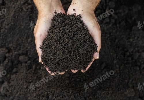 Preview: Soil in a man hands. Selective focus.