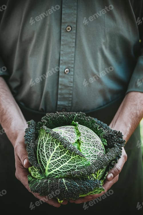 Preview: Farmer with kale