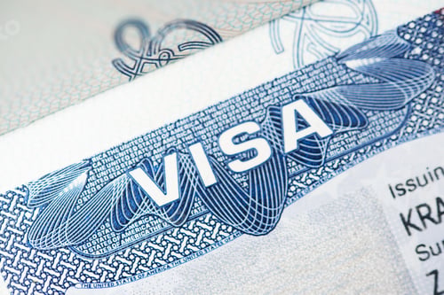 Preview: American Visa Closeup