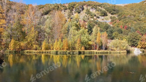 Preview: Beautiful autumn view and trees reflection on the lake