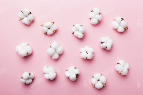 Preview: Autumn Floral Flat lay background composition. Dried white fluffy cotton flower