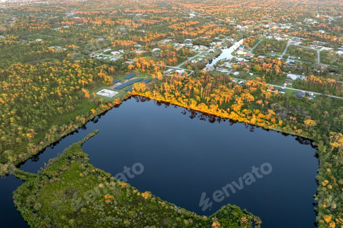 Preview: Beautiful nature. Myakka river in North Port, Florida.