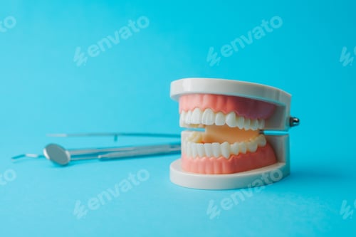Preview: Dental model and tools on a blue background for oral health care and hygiene education