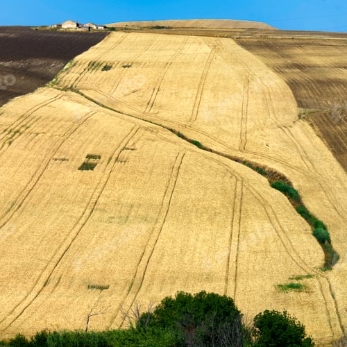 Preview: Landscape along the road from Termoli to Serracapriola, Southern Italy