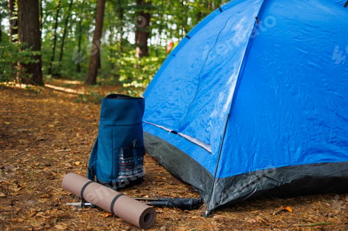 Preview: Backpack, trekking poles and sleeping bag lying on the ground near a tent in the forest