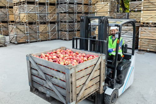 Preview: Work in warehouse with eco fruits, modern healthy food industry