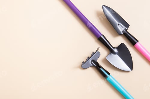 Preview: Shovels and rakes for gardening. flat lay. The concept of spring planting
