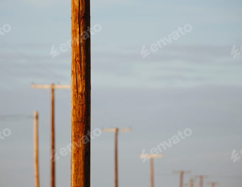 Preview: Telephone poles and power lines in a row, at Belridge in California.