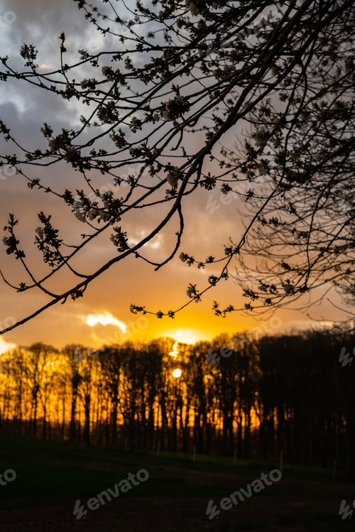 Preview: Nice sunset in nature