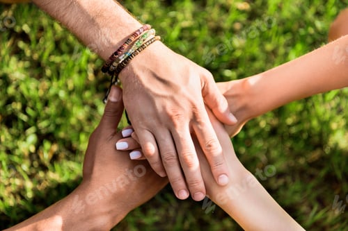 Preview: cropped shot of multiracial friends holding hands together